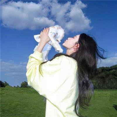 妙探乌龙记